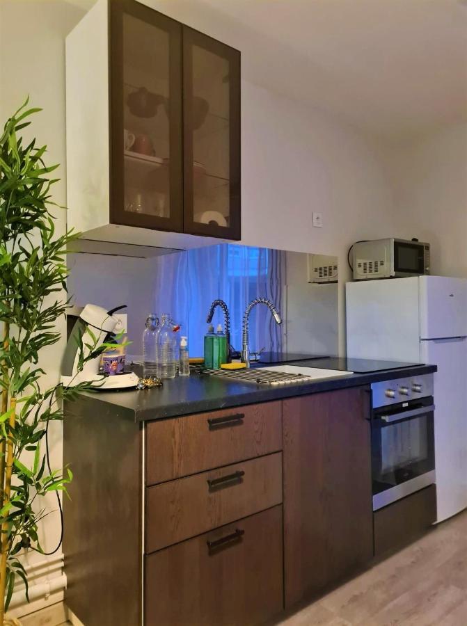 Grand Studio Lyon Villeurbanne Proche Metro - Wifi エクステリア 写真
